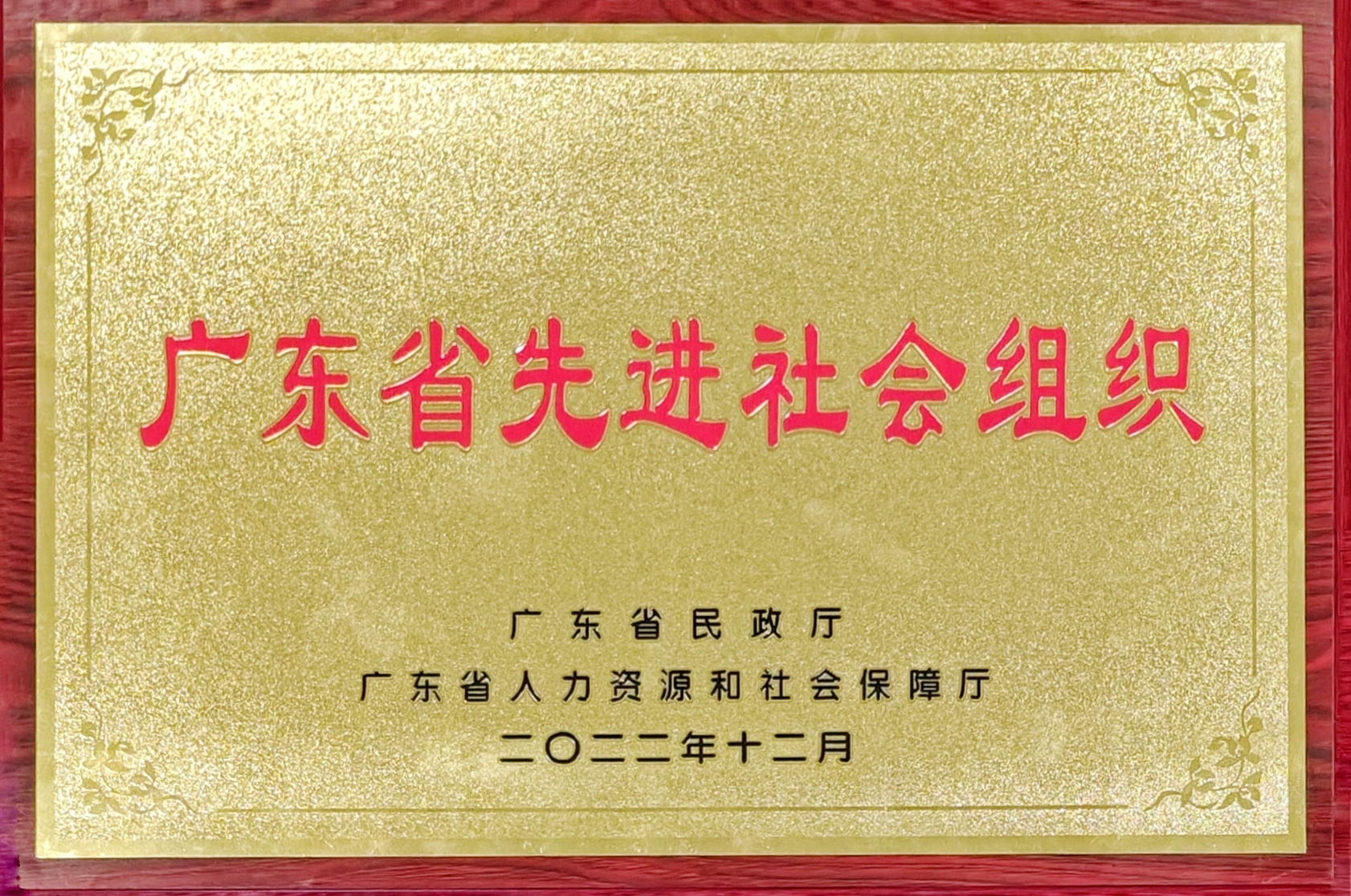 2022年12月，广东省先进社会组织.jpg