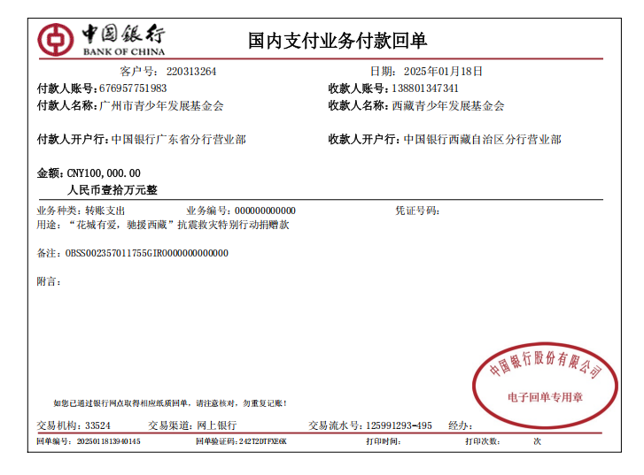 善款10万 付款回单.png